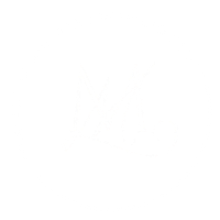 Patrocinador MS Team